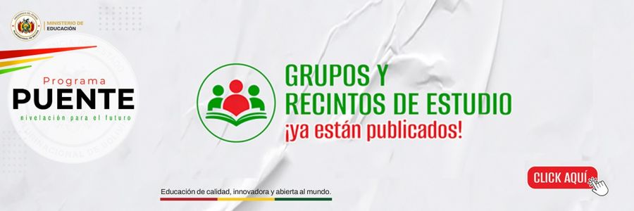 Programa puente 2