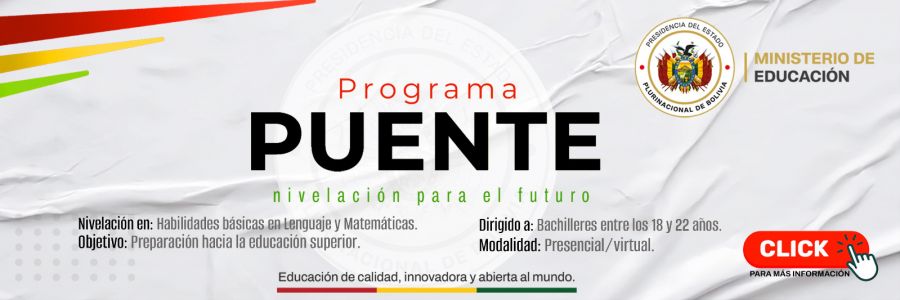 PROGRAMA PUENTE
